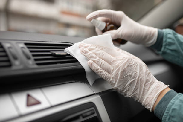 Best Air Duct Mold Removal  in Ormond By The Sea, FL