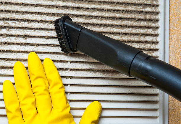 Best Emergency Air Duct Cleaning  in Ormond By The Sea, FL